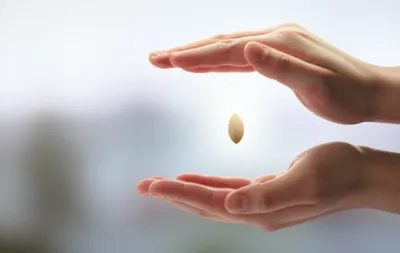 Illustration protection