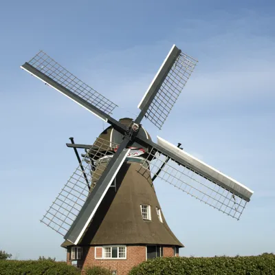 Illustration fans - Image 1