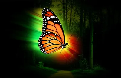 Illustration emerges - Image 1