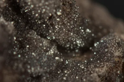 Illustration druses - Image 1