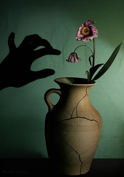 Illustration abuses - Image 1