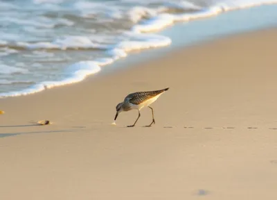 Illustration sand - Image 1