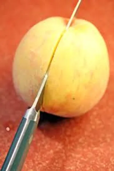 Illustration halve - Image 2