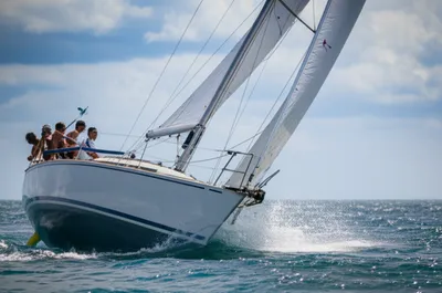 Illustration pointing - Image 1