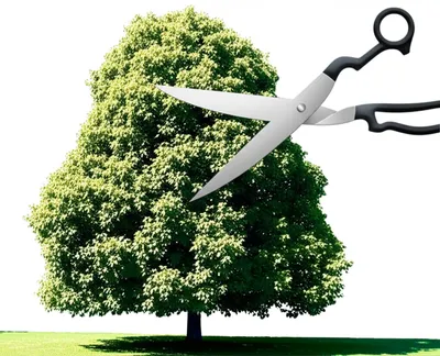 Illustration abridges