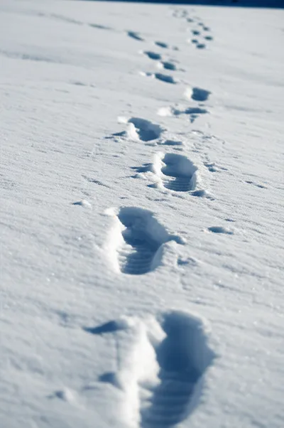 Illustration tracks - Image 2