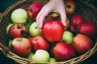 Illustration selectivity