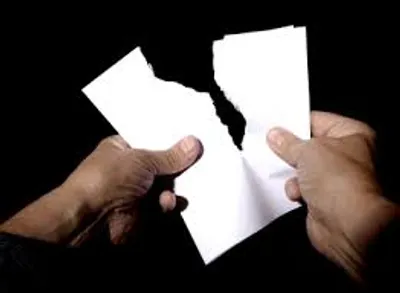 Illustration split - Image 2