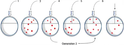 Illustration passage - Image 1