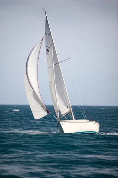 Illustration careened - Image 1