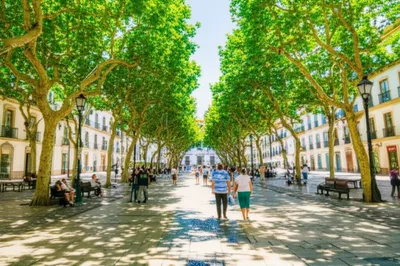 Illustration alameda - Image 1