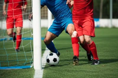 Illustration shepherded - Image 1