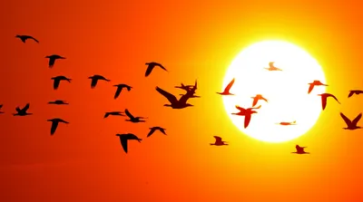 Illustration homes - Image 1