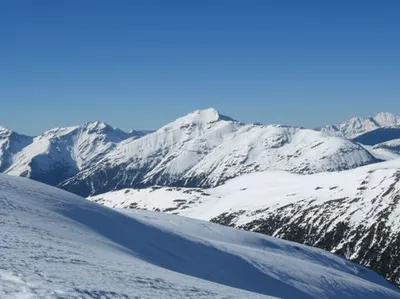 Illustration unreactive