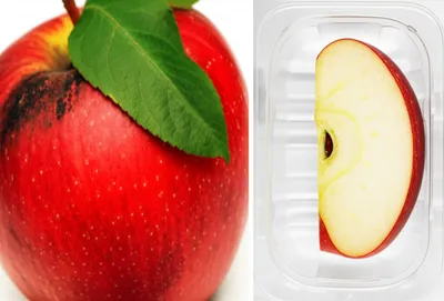 Illustration unprocessed