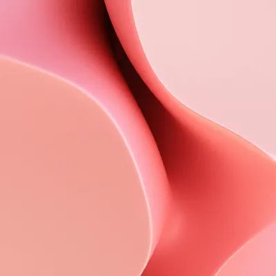 Hình ảnh minh họa clit - Ảnh 1