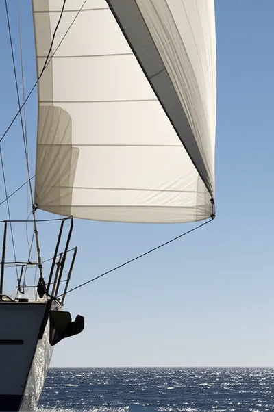 Illustration clew - Image 1