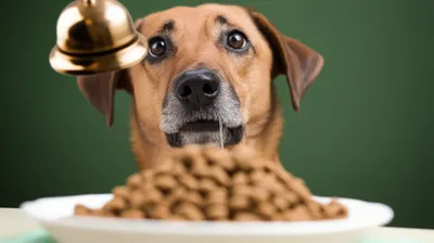 Illustration conditioned - Image 1