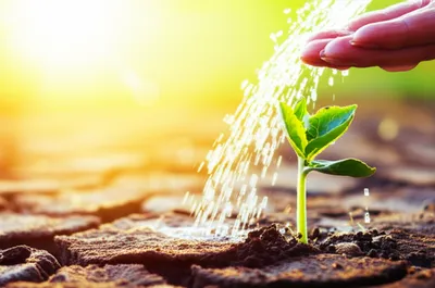 Illustration provides - Image 1