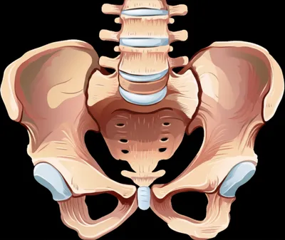 Illustration sacrum - Image 1