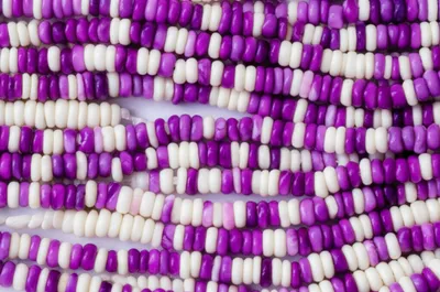 Illustration wampum - Image 1