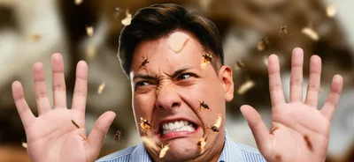 Illustration repulsed - Image 1