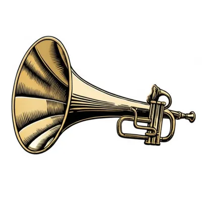 Illustration aerophones - Image 1