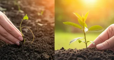 Illustration sped - Image 1