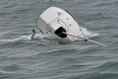 Illustration purled - Image 1