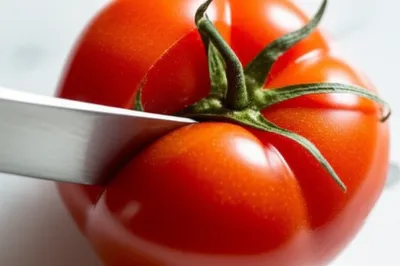 Illustration dull - Image 1