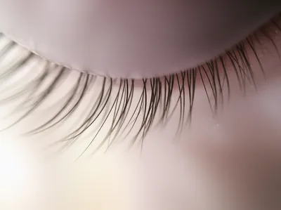 Illustration eyelashes