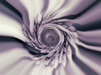 Illustration noises - Image 1