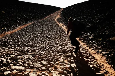 Illustration plod - Image 1