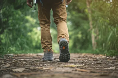 Illustration shank - Image 1