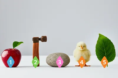 Illustration numbers - Image 1