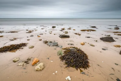 Illustration receded