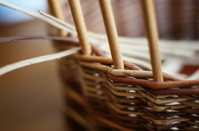 Illustration rands - Image 1