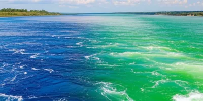 Illustration confluent - Image 1