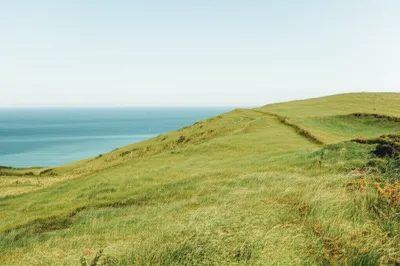 Illustration verge - Image 1