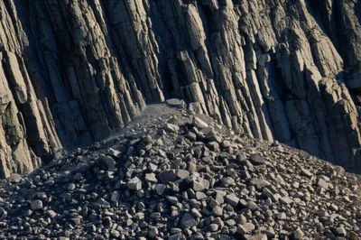 Illustration talus - Image 1