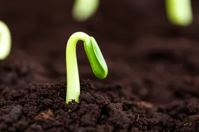 Illustration set - Image 1