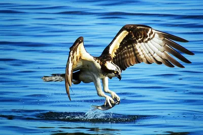 Illustration landing - Image 1