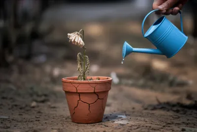 Illustration et - Image 1