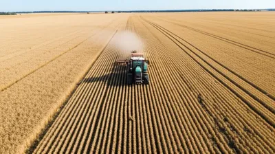 Illustration bout - Image 1