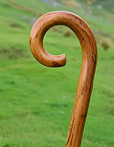 Illustration crook - Image 1