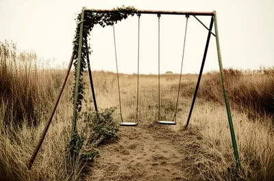 Illustration vestiges - Image 1