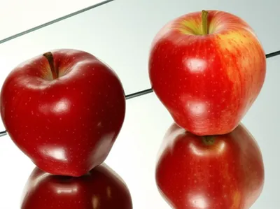 Illustration double - Image 1