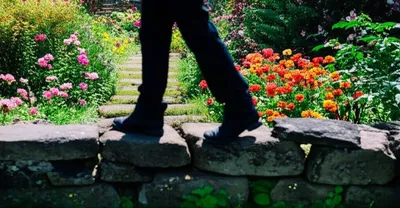 Illustration trespasses - Image 1