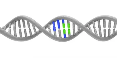 Hình ảnh minh họa variant - Ảnh 1
