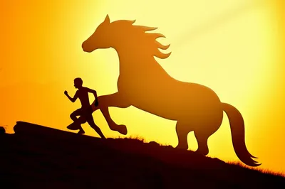 Illustration thoroughbreds - Image 1